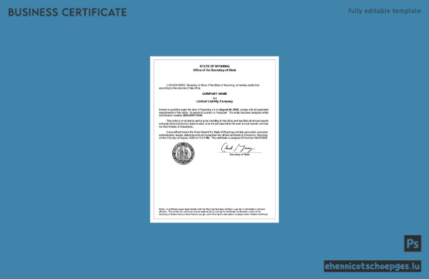 USA Wyoming Registrierungsbescheinigung Word- und PDF-Beispielvorschau